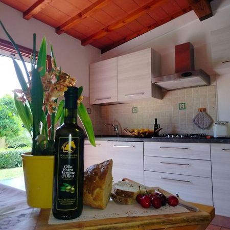 I Cavalleggeri Villa Castagneto Carducci Bagian luar foto