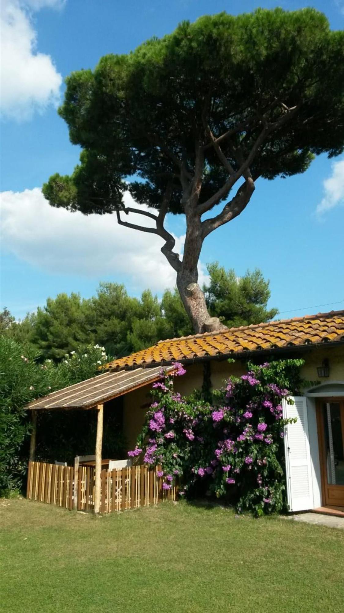 I Cavalleggeri Villa Castagneto Carducci Bagian luar foto